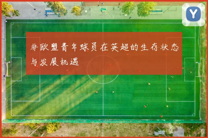 非欧盟青年球员在英超的生存状态与发展机遇