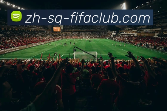 多媒体互动体验